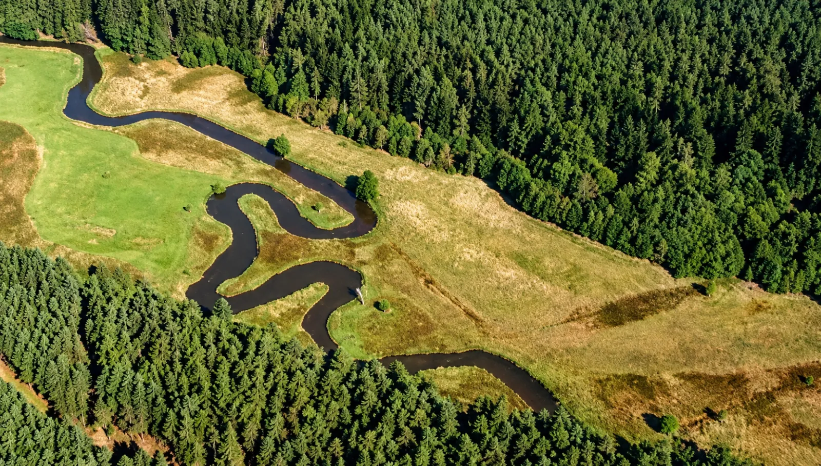 Meandry Ploučnice